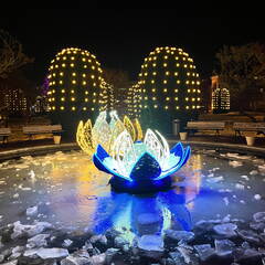 22-12-19 19-07-44 3659